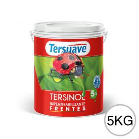 Impermeabilizante para Frentes Exterior Tersinol Blanco 5L