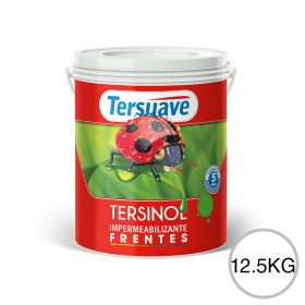 Impermeabilizante para Frentes Exterior Tersinol Blanco 12,5L