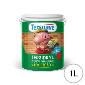 Impermeabilizante ladrillos y piedras Tersidryl al agua con pelicula transparente semi mate balde x 1l