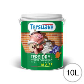 Impermeabilizante ladrillos y piedras Tersidryl al agua sin pelicula transparente mate balde x 10l