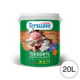 Impermeabilizante ladrillos y piedras Tersidryl al agua sin pelicula transparente mate balde x 20l